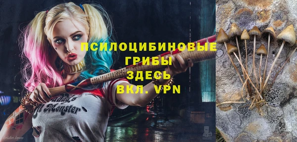 спайс Белокуриха